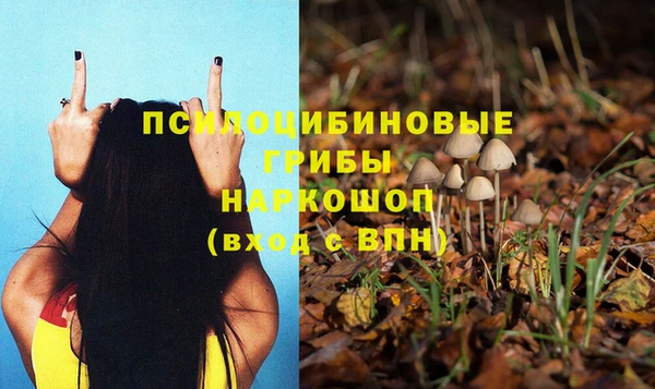 apvp Алексин