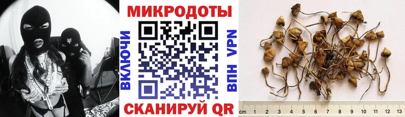 Псилоцибиновые грибы ЛСД  Зубцов 